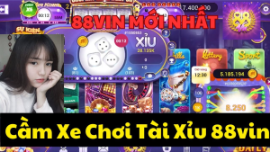 Tai xiu 88VIN